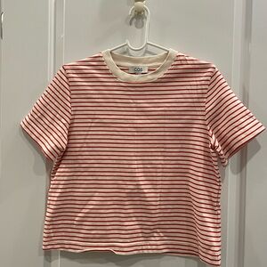 COS/Everlane T-shirt bundle